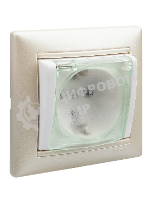 Розетка Legrand Valena 774220 влагозащищенная IP44 с заземлением с крышкой и защитными шторками (белая)