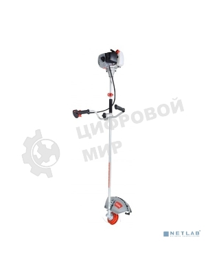 Бензиновый триммер Ресанта БТР-2900П 70/2/44