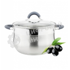 Кастрюля со стеклянной крышкой Zeidan Z-50252 4,0 л (O20х12.5 см), нерж.сталь, внутренняя - матовая полировка, снаружи - комбинированная полировка, шкала литража, ручки с силиконовым покрытием, капсулир. дно, подарочная упаковка с пластиковой ручкой