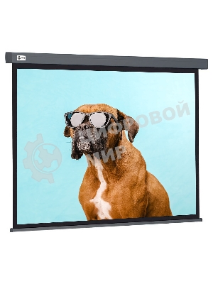Экран Cactus 149.4x265.7см Wallscreen CS-PSW-149X265-SG 16:9 настенно-потолочный рулонный серый