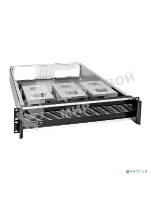 Серверный корпус ExeGate Pro EX284970RUS 2U450-09 (RM 19