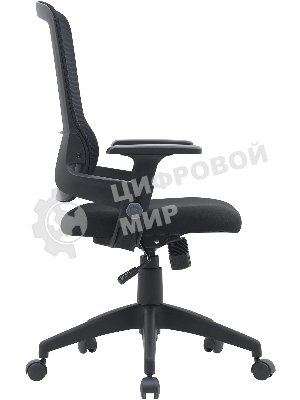 Кресло Cactus CS-MC313-BK черный, сетка