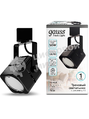 Светильник Gauss TR009 черный