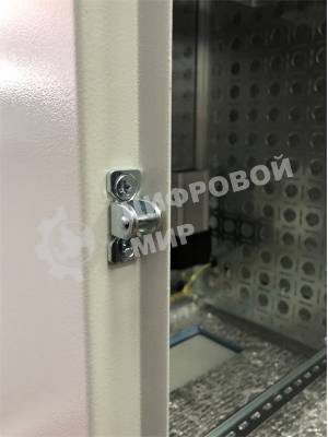 ЦМО Шкаф уличный всепогодный настен. 9U (600х500), передняя дверь вент. (ШТВ-Н-9.6.5-4ААА)