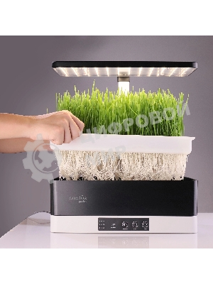 Гидропонная установка Cactus Garden 3.0л 24Вт черный (CS-LEDPOT-11)