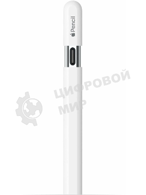 Перо-карандаш Apple Pencil (USB-C)