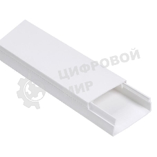 Кабель-канал 100х60 L2000 пластик ECOLINE IEK CKK11-100-060-1-K01