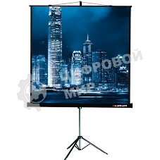 Экран на треноге Lumien 183x244см Master View LMV-100108 4:3 напольный рулонный