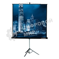Экран на штативе Lumien Master View 128x171 см Matte White FiberGlass (LMV-100106)