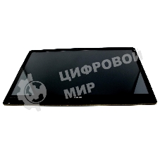 Модуль (матрица + тачскрин) для Asus ZN270