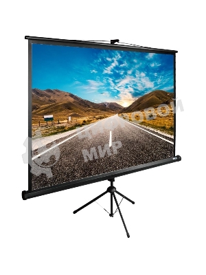 Экран Cactus 160x160 см TriExpert CS-PSTE-160x160-BK 1:1 напольный рулонный