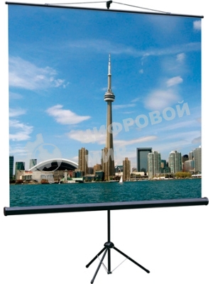 Экран на треноге Lumien 160x160см Eco View LEV-100105 1:1 напольный рулонный