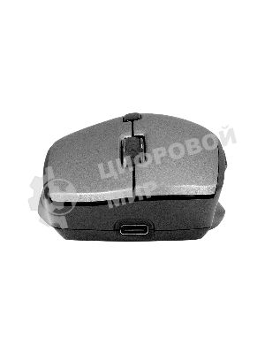 Мышь беспроводная ExeGate Professional Standard BT-070 черный, 1600 dpi, радиоканал, Bluetooth, USB, кнопки - 6