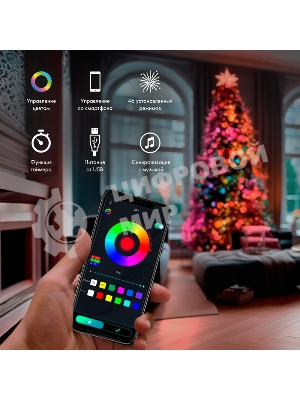 Гирлянда Neon-night смарт Нить из росы с крупными светодиодами 10м, 100LED RGb, IP20, прозрачный провод, USB