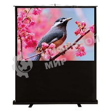 Экран Cactus 90x120 см FloorCompactExpert CS-PSFLCE-120X90 4:3 напольный рулонный