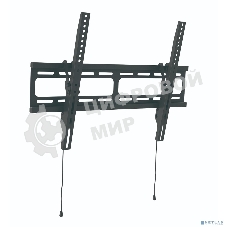 Универсальное наклонное настенное крепление Wize WT55 для 32