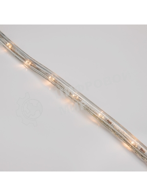 Дюралайт Neon-night LED, свечение с динамикой (3W) - теплый белый, 24 LED/м, бухта 100м