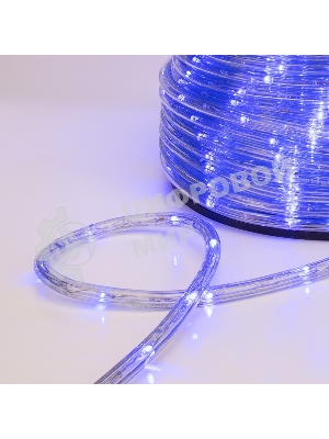 Дюралайт Neon-night LED, свечение с динамикой (3W) - синий, 24 LED/м, бухта 100м