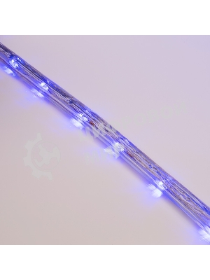 Дюралайт Neon-night LED, свечение с динамикой (3W) - синий, 24 LED/м, бухта 100м