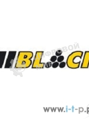 Бумага Hi-Black A20295/MM650-A4-2 матовая магнитная односторонняя (Hi-image paper) A4, 650 г/м, 2 л.