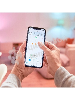 Лампа светодиодная WiZ Wi-Fi BLE 60W A60 E27 927 DIM1PF/6