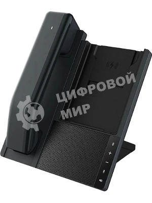 Телефон IP Fanvil DB20-H черный