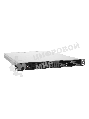 Серверный корпус ExeGate Pro 1U650-04 (RM 19