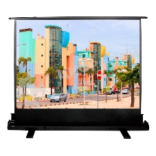 Экран Cactus 120x160 см FloorExpert CS-PSFLE-160X120 4:3 напольный рулонный