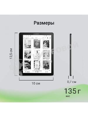 Электронная книга Digma F4 5.83