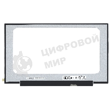 Матрица MB156CS01-8
