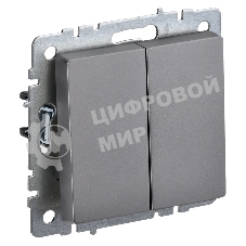 Выключатель 2-кл. IEK BRITE 10А ВС10-2-0-БрС сталь