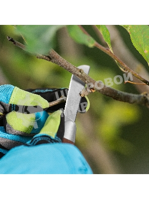 Нож садовый складной Palisad прямое лезвие, 173 мм, деревянная рукоятка