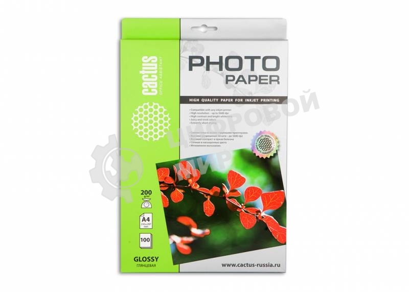 Фотобумага Cactus CS-GA4200100 A4/200г/м2/100л. глянцевая для струйной печати
