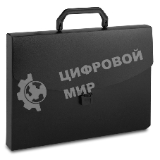 Папка-портфель Бюрократ -BPP01BLCK 1 отделение, A4, пластик, 0.7мм, черный