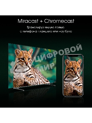 Телевизор Digma 55