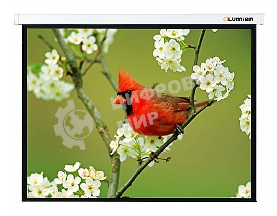 Экран Lumien 305x305 см Master Picture LMP-100107 1:1 настенно-потолочный рулонный