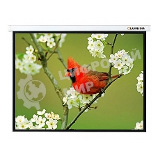 Экран Lumien 305x305 см Master Picture LMP-100107 1:1 настенно-потолочный рулонный