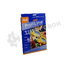 БХ/Г-220-А4-10 ХОЛСТ высокоглянцевый, 220г/м2, А4, 10л, 1440 dpi