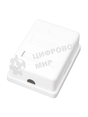 Розетка компьютерная Rexant 1-м ОП RJ45 CAT 5E бел.