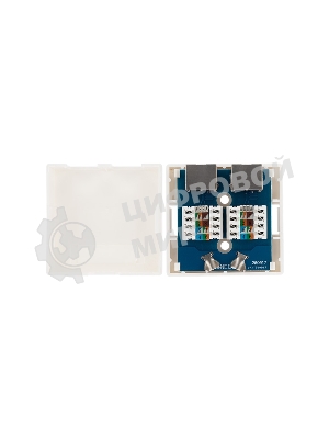 Рoзетка компьютерная внешняя Rexant 2-порта RJ-45 (8P8C), FTP экранированная, категория 6