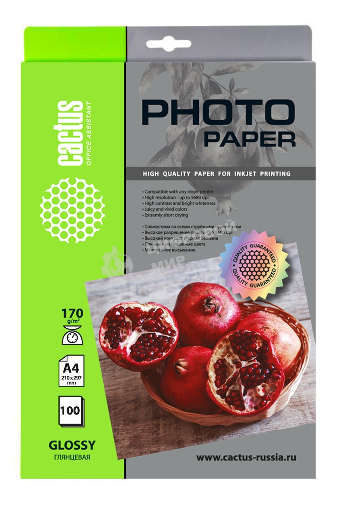 Фотобумага Cactus CS-GA4170100 A4/170г/м2/100л./белый глянцевое для струйной печати