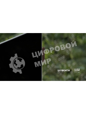 Телевизор Skyworth 55