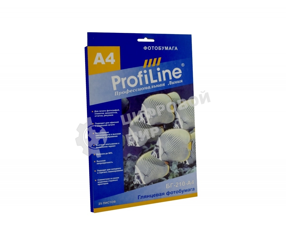 БГ-210-А4-25 Фотобумага глянцевая, 210 г/м2, А4, 25 л, 2880 dpi