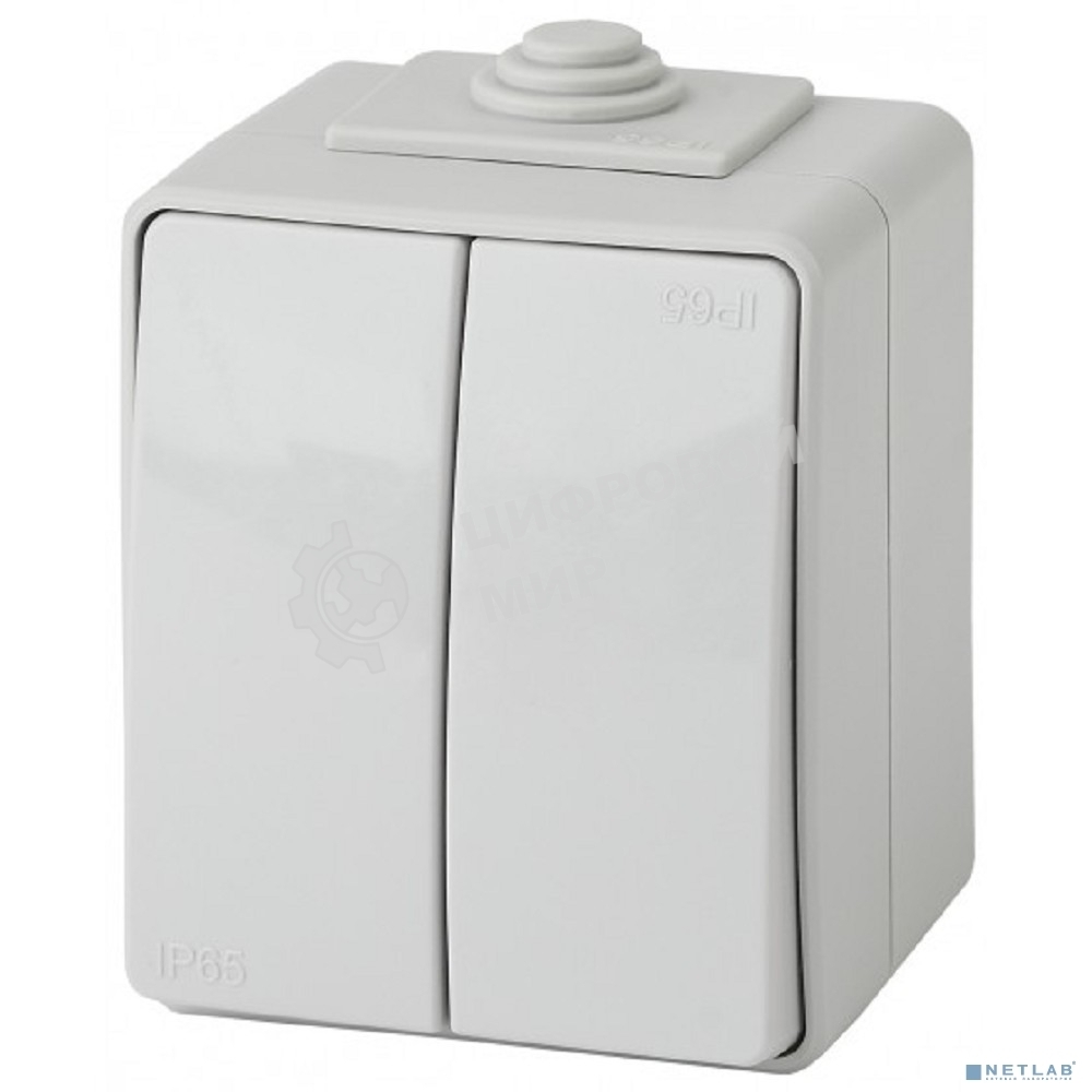 Выключатель 2-кл ОУ IP65 ЭРА 11-1604-03 Эксперт серый