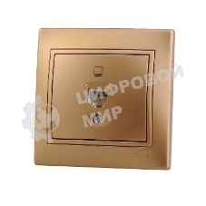 Розетка компьютерная 1-м СП Мира RJ45 метал. зол. Lezard 701-1313-139