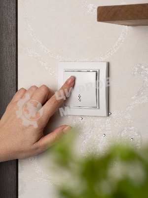 Выключатель 1-кл. СП Минск 10А проходной белый Basic EKF ERV10-025-10