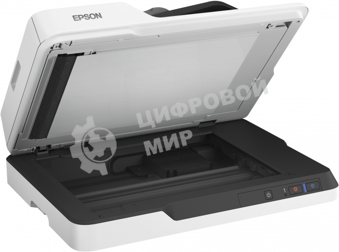 Сканер Epson WorkForce DS-1630 (B11B239401) планшетный, A4, CIS, 600x600 dpi, двусторонный автоподатчик, USB 3.0