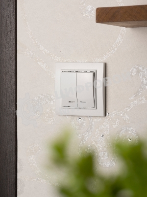 Выключатель 2-клавишный СП с индикатором,10А, белый EKF Basic Минск