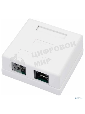 Розетка компьютерная Rexant 2-м ОП RJ45 CAT.5E бел.