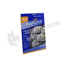 БГ-260-А4-м-25 Фотобумага микропористая глянцевая ProfiLine 260 г/м2, А4, 25 л, 5760 dpi (Mi)